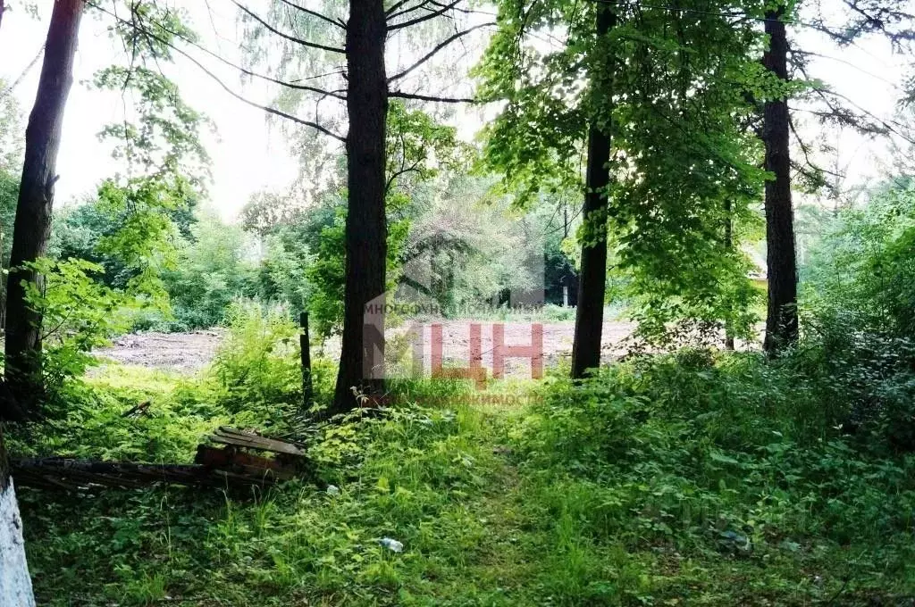 Участок в Тверская область, Конаковский муниципальный округ, ... - Фото 1