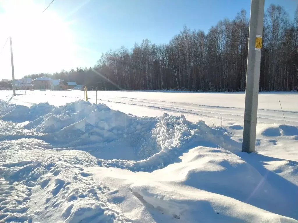 Участок в Тюменская область, село Ярково (10 м) - Фото 1