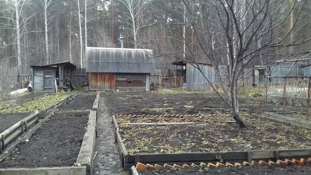Дом в Свердловская область, Екатеринбург Родонит СНТ, 101 (26 м) - Фото 2