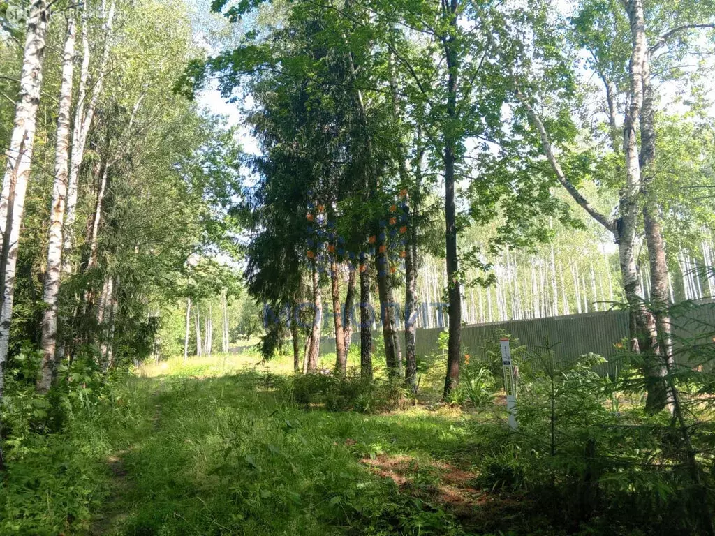 Участок в Московская область, городской округ Подольск, деревня ... - Фото 1