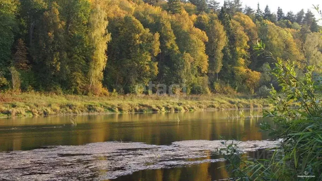 Участок в Калужская область, Юхновский район, Беляево с/пос, д. ... - Фото 2