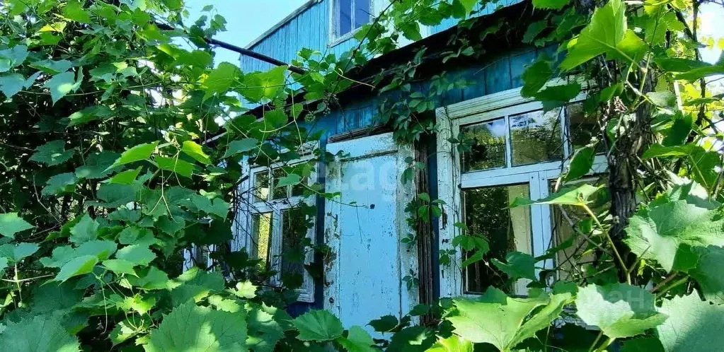 Дом в Белгородская область, Белгородский район, Стрелецкое с/пос, ... - Фото 1