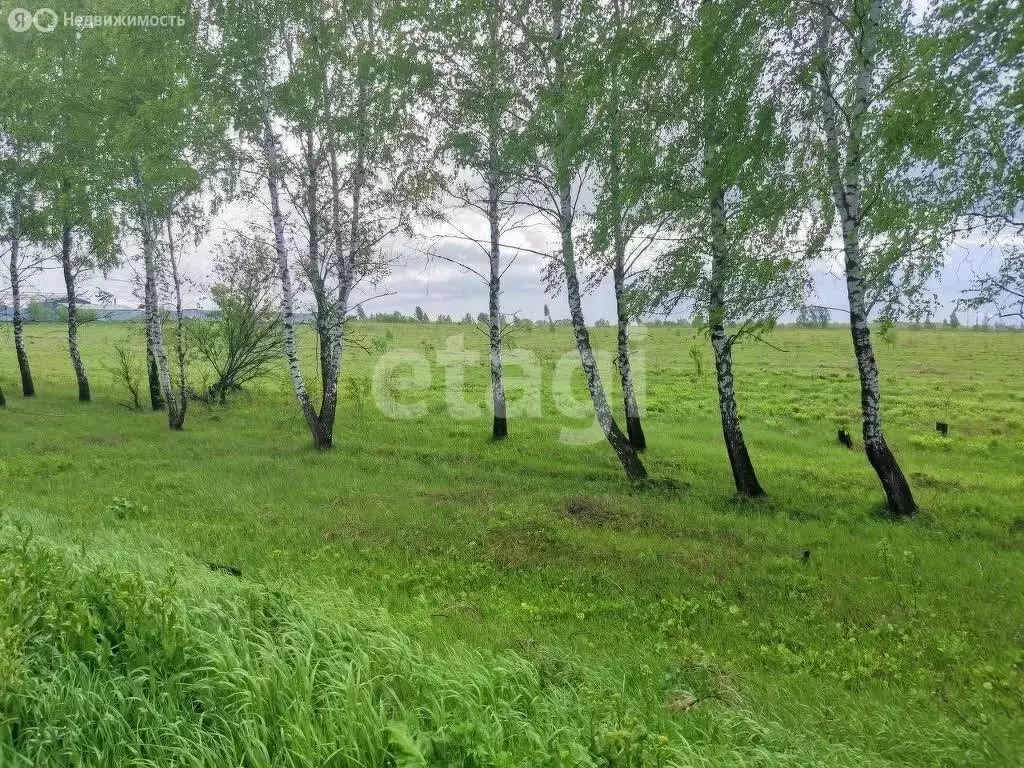 Участок в Тульская область, муниципальное образование Тула, деревня ... - Фото 0