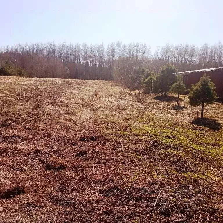Участок в Тверская область, Калининский муниципальный округ, д. ... - Фото 1