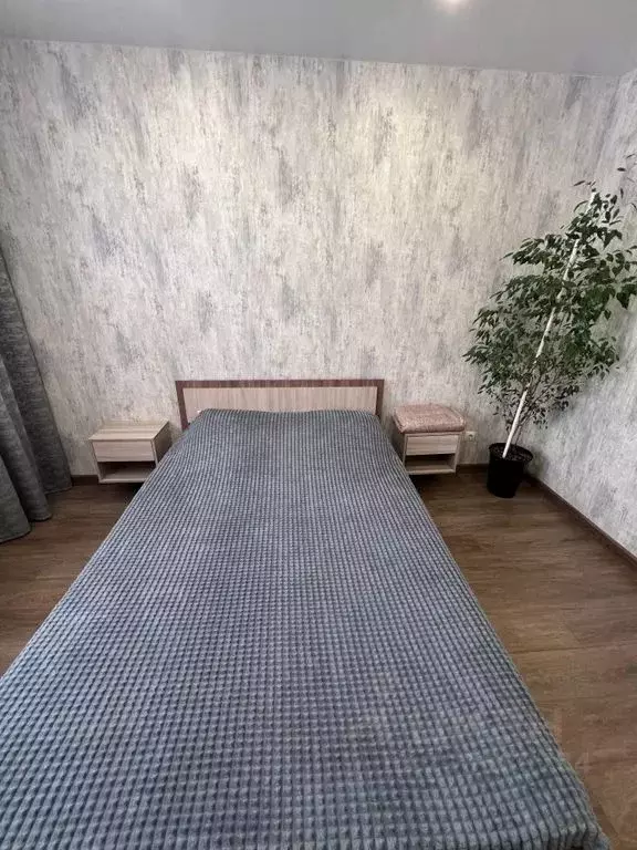 2-к кв. Новосибирская область, Новосибирск ул. Забалуева, 96 (42.0 м) - Фото 1