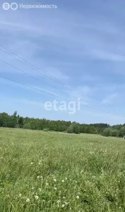 Участок в Пермский край, Краснокамский муниципальный округ, посёлок ... - Фото 1