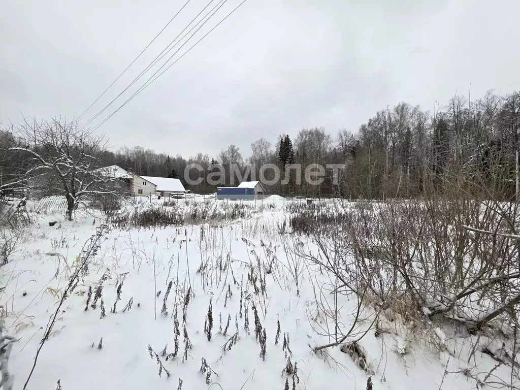 Участок в Марий Эл, Медведевский район, Руэмское с/пос, д. Рябинка ул. ... - Фото 2