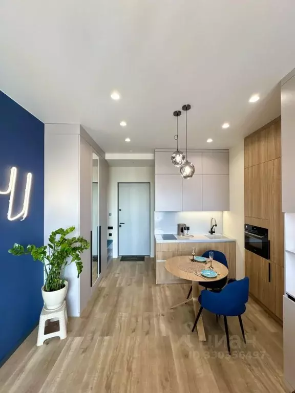 Студия Москва просп. Генерала Дорохова, 49 (27.0 м) - Фото 2