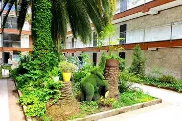 1-к кв. Краснодарский край, Сочи ул. Ленина, 219А/2 (32.0 м) - Фото 1