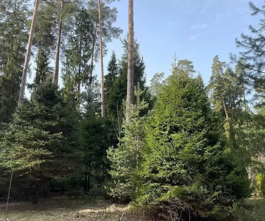 Участок в Московская область, Одинцовский городской округ, пос. ... - Фото 1