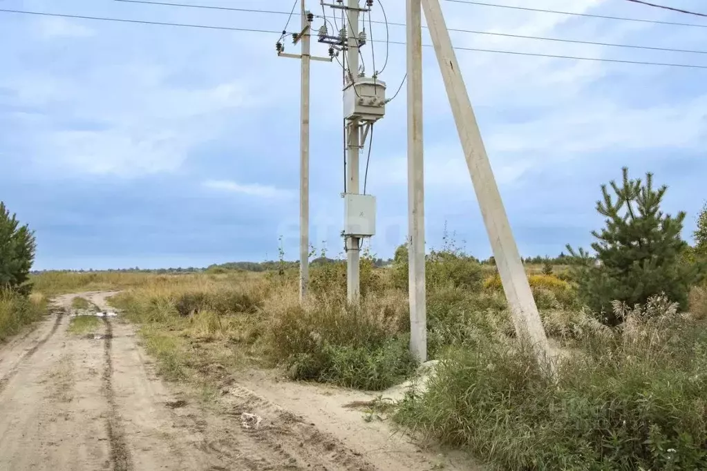 Участок в Тюменская область, Тюменский район, Архип садовое общество  ... - Фото 1