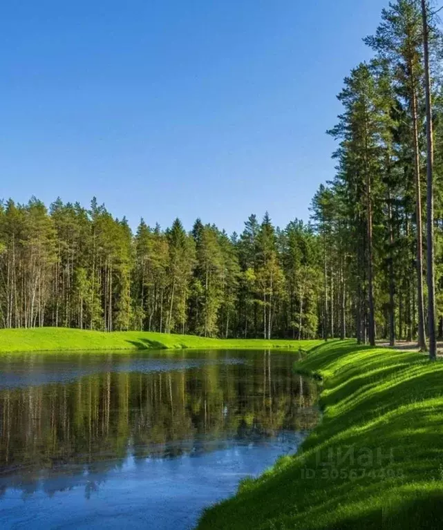 Дом в Ленинградская область, Всеволожский район, Бугровское городское ... - Фото 2