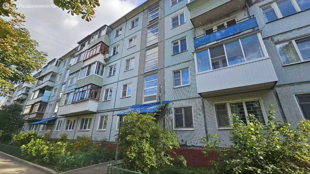 1-комнатная квартира: Тула, улица Вересаева, 4 (30.8 м) - Фото 1