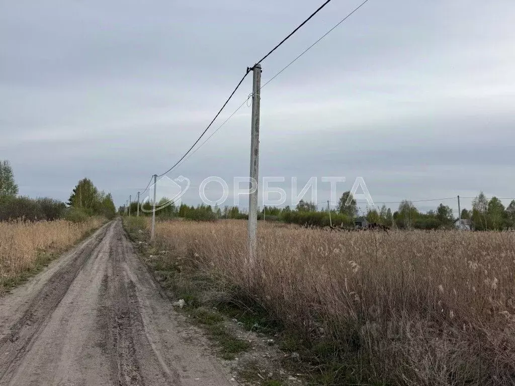 Участок в Тюменская область, Тюмень Поле Чудес садовое товарищество, ... - Фото 1