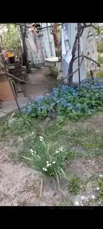 Дом в Ростовская область, Волгодонск Мичуринец СНТ, 1858 (20 м) - Фото 2