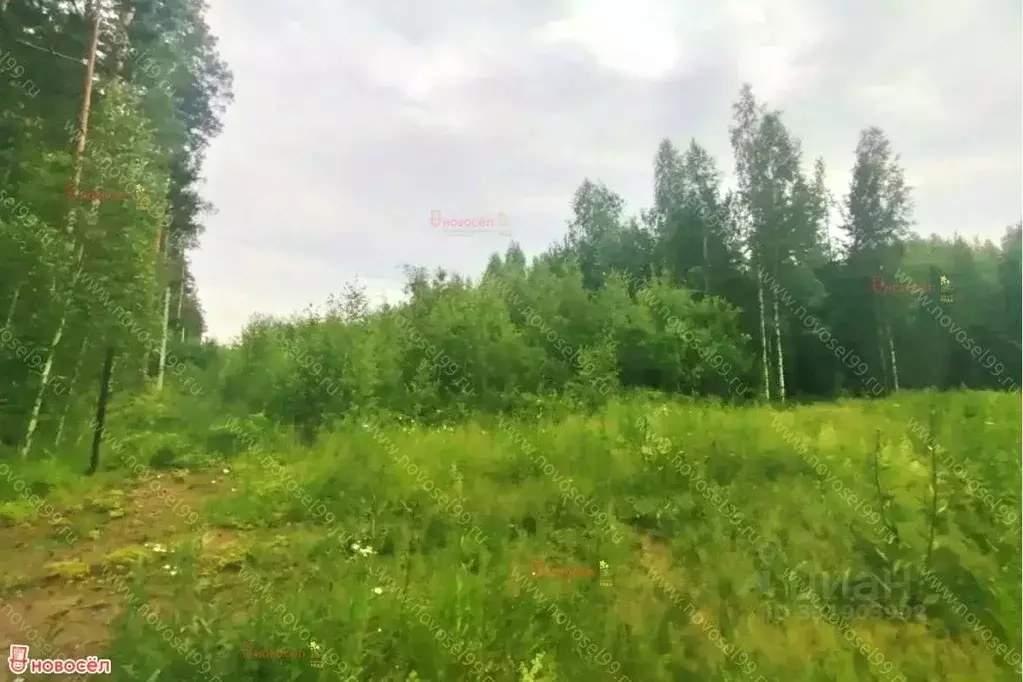 Участок в Свердловская область, Заречный ул. Молодежная, 25 (17.0 ... - Фото 1