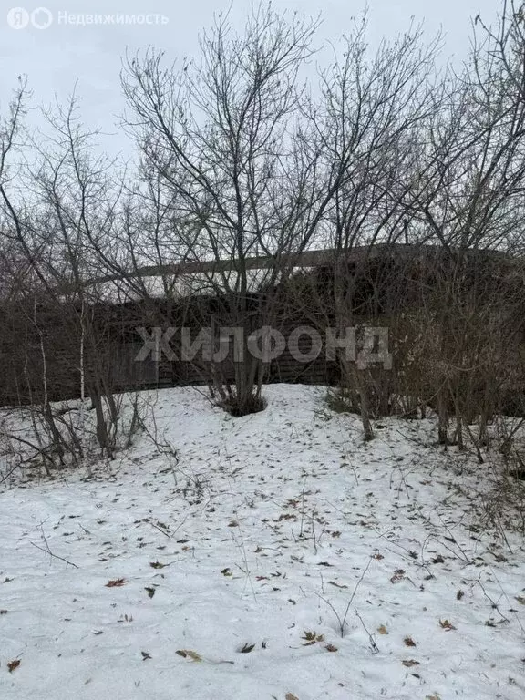 Участок в Колыванский район, деревня Пристань-Почта, Шоссейная улица ... - Фото 2