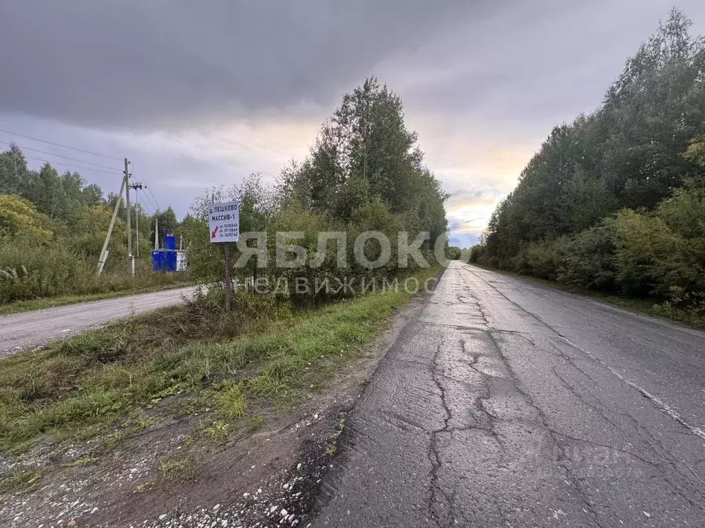 Участок в Пермский край, Березники муниципальный округ, д. Пешково ул. ... - Фото 1