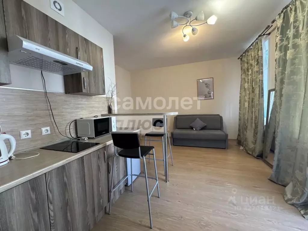 Студия Санкт-Петербург аллея Арцеуловская, 23к1 (25.5 м) - Фото 1