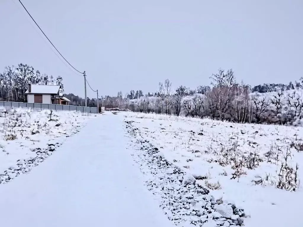 Участок в Тульская область, Заокский район, Демидовское с/пос, д. ... - Фото 2