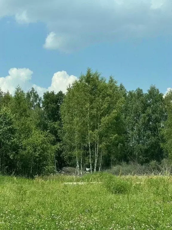 Участок в Московская область, Электросталь городской округ, пос. ... - Фото 1