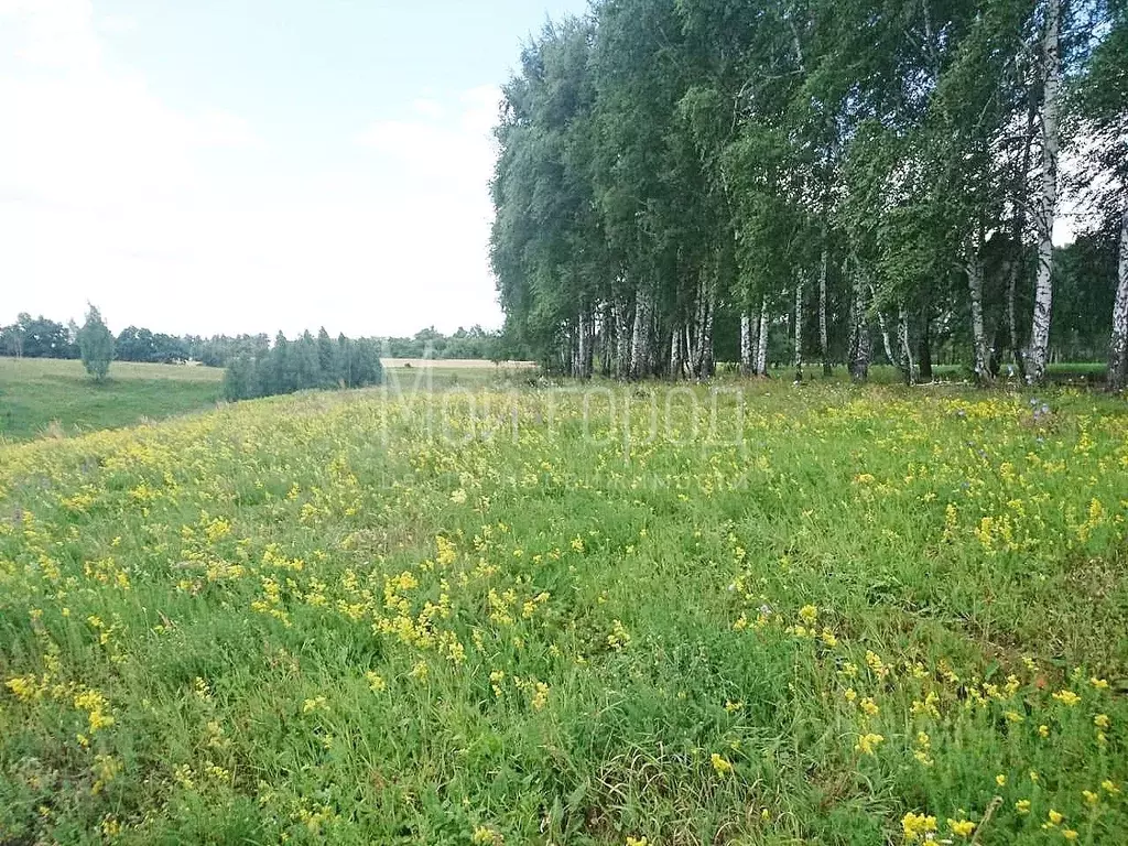 Разнотравно-луговые степи воронежа. Луговое курская область. Каменная степь воронежская область. Поля луга в рязанской губернии. Луговое курская область.
