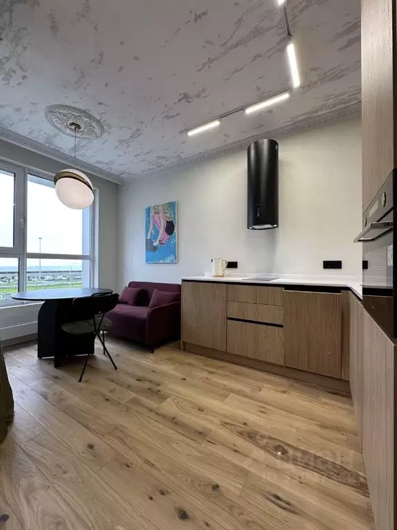 Студия Санкт-Петербург просп. Крузенштерна, 13 (32.2 м) - Фото 1