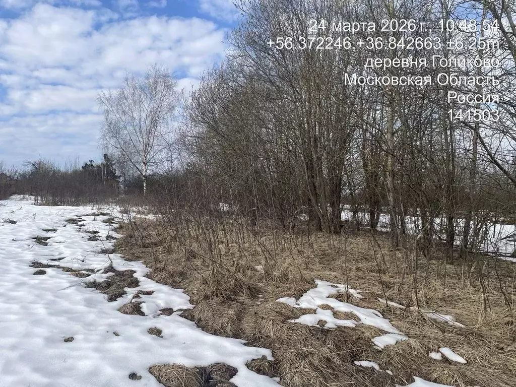 Участок в Московская область, Клин городской округ, д. Голиково  (13.1 ... - Фото 1