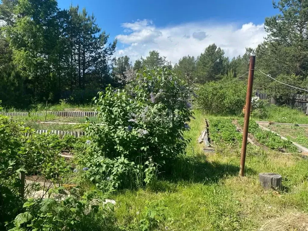 Участок в Коми, Корткеросский район, Пезмег муниципальное образование, ... - Фото 2