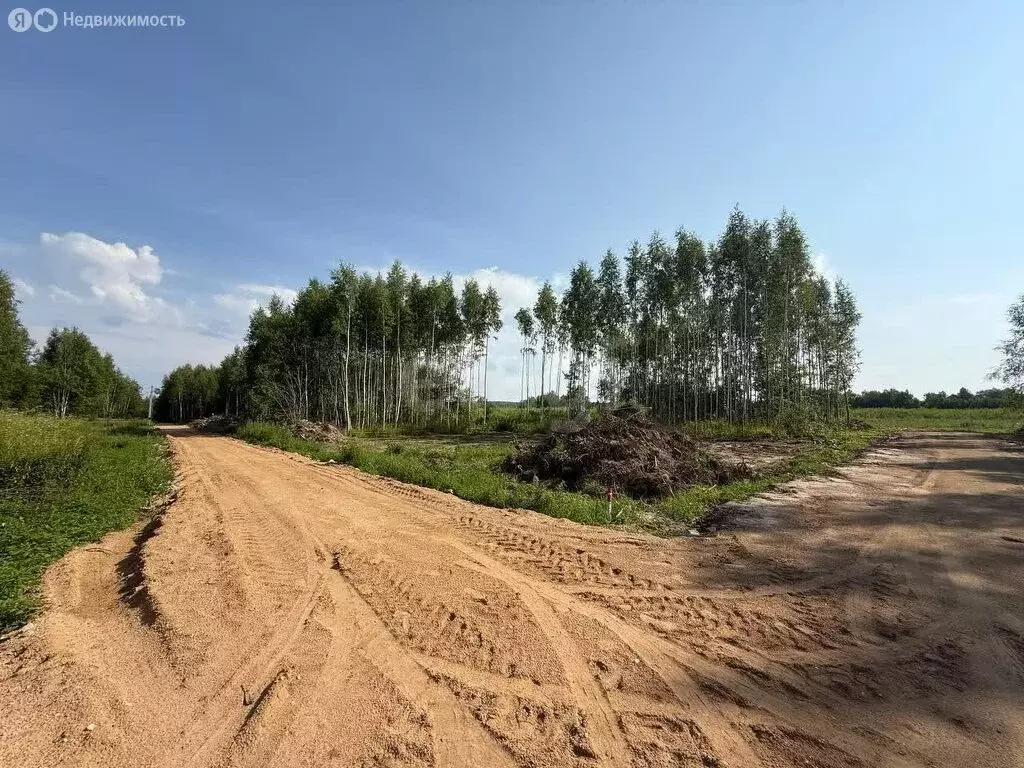 Участок в Красносельский район, Боровиковское сельское поселение, ... - Фото 1