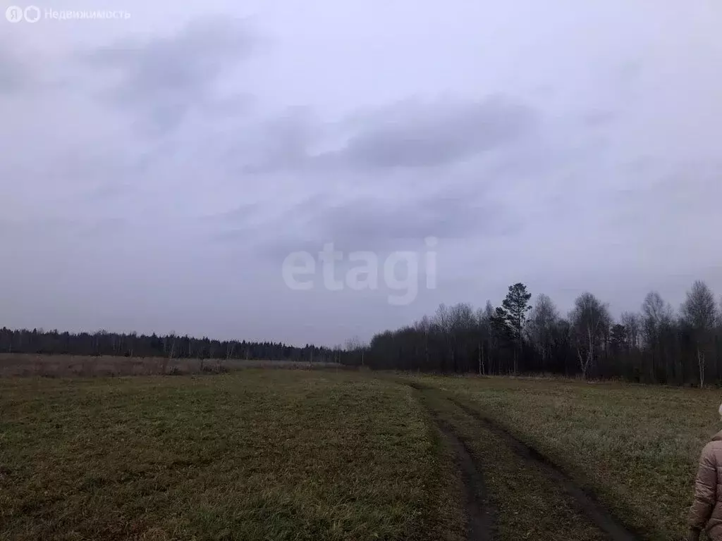 Участок в Томский район, деревня Борики (11.66 м) - Фото 2