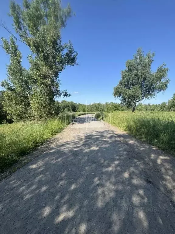 Участок в Алтайский край, Первомайский район, с. Санниково  (1.06 га.) - Фото 1