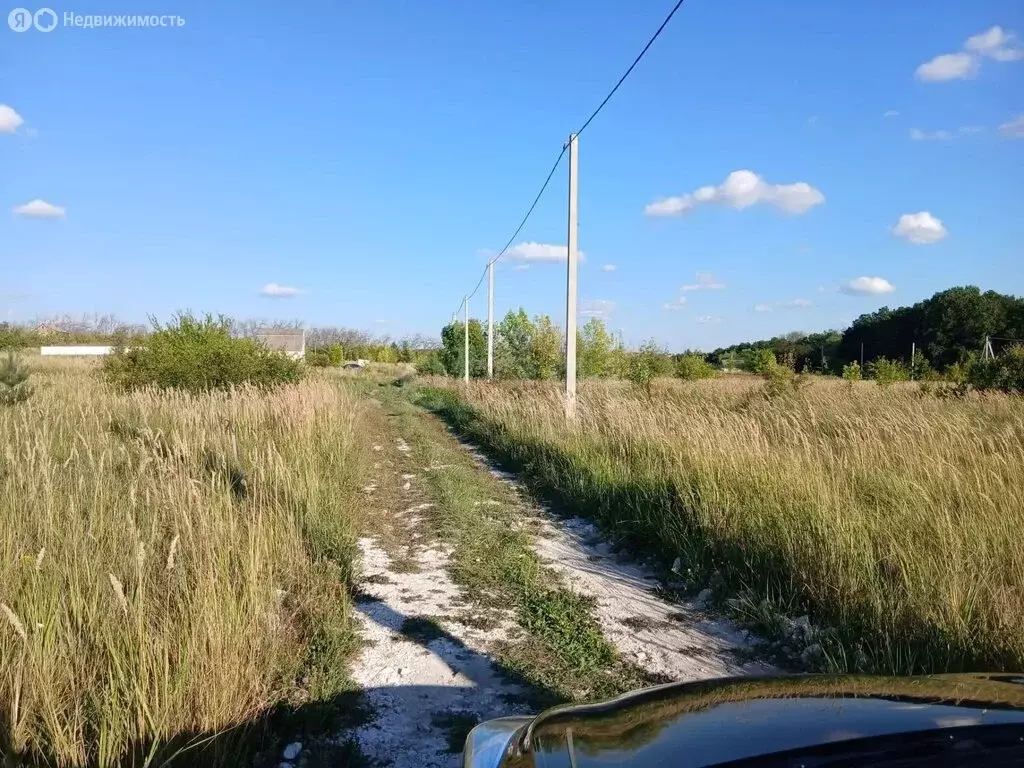 Участок в Белгородская область, Корочанский муниципальный округ, ... - Фото 1