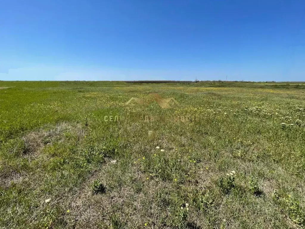 Участок в Крым, Евпатория городской округ, Заозерное пгт  (50.0 сот.) - Фото 2