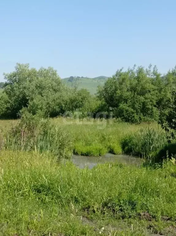 Участок в Алтайский край, Алтайский район, с. Верх-Ая Школьная ул. ... - Фото 0