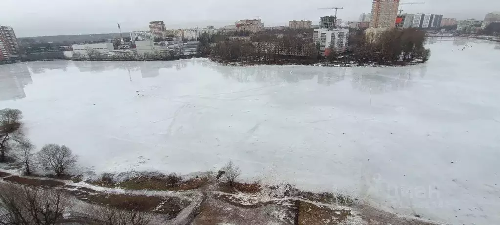 Студия Московская область, Пушкино Ярославское ш., 149к1 (32.2 м) - Фото 0