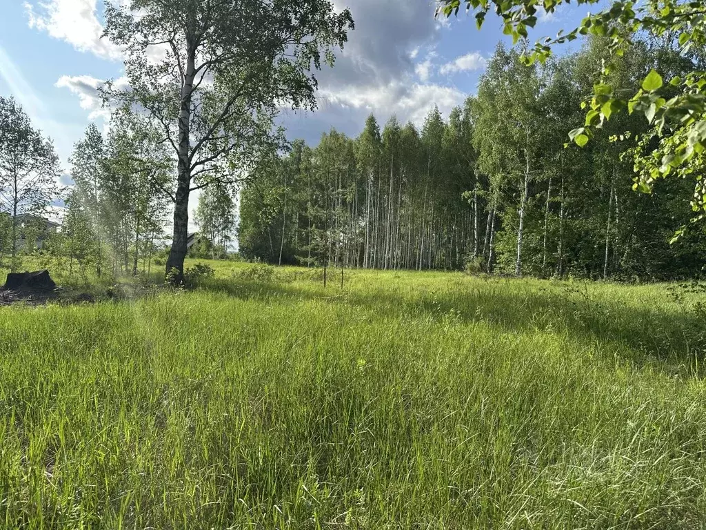 Участок в Нижегородская область, Сокольский муниципальный округ, д. ... - Фото 1