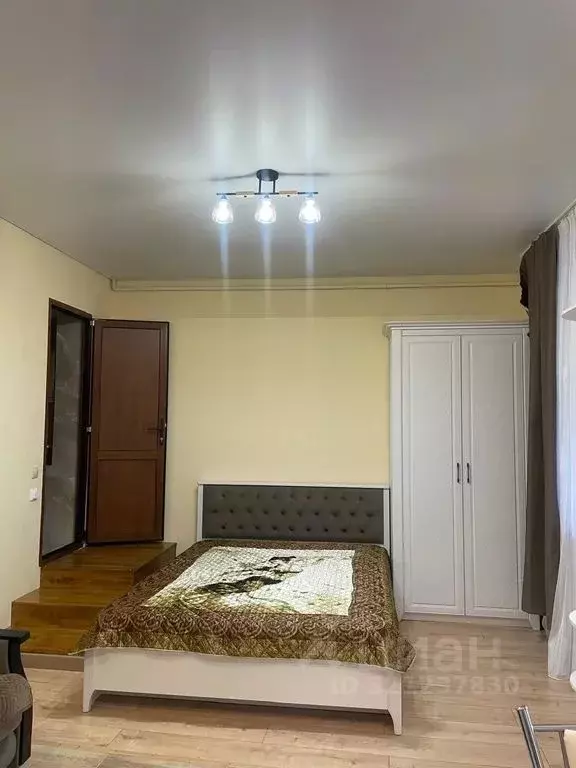 Студия Краснодарский край, Сочи городской округ, Дагомыс пгт ш. ... - Фото 0