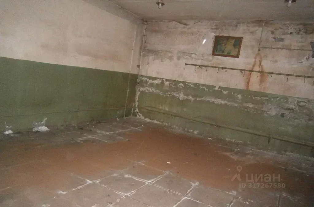 Помещение свободного назначения в Новосибирская область, Новосибирск ... - Фото 1