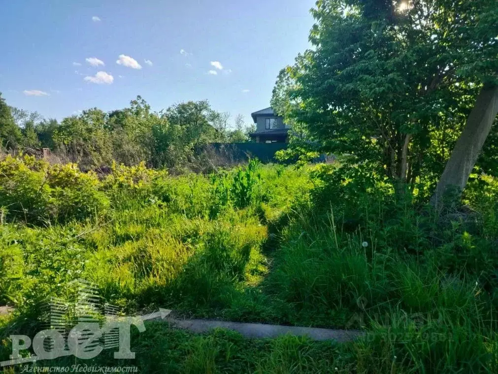 Участок в Приморский край, Артемовский городской округ, с. Кневичи  ... - Фото 1