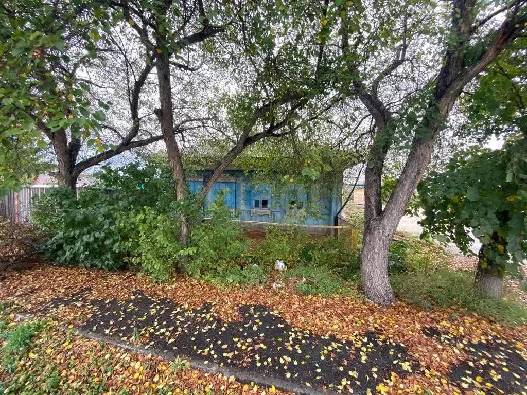 Дом в Тюменская область, Тюмень Микрорайон мыс, ул. Литейщиков (76 м) - Фото 1