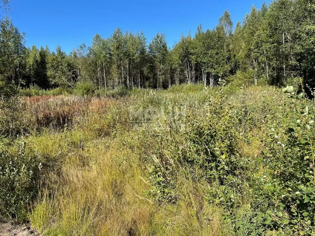 Участок в Карелия, Прионежский район, Нововилговское с/пос, ... - Фото 1