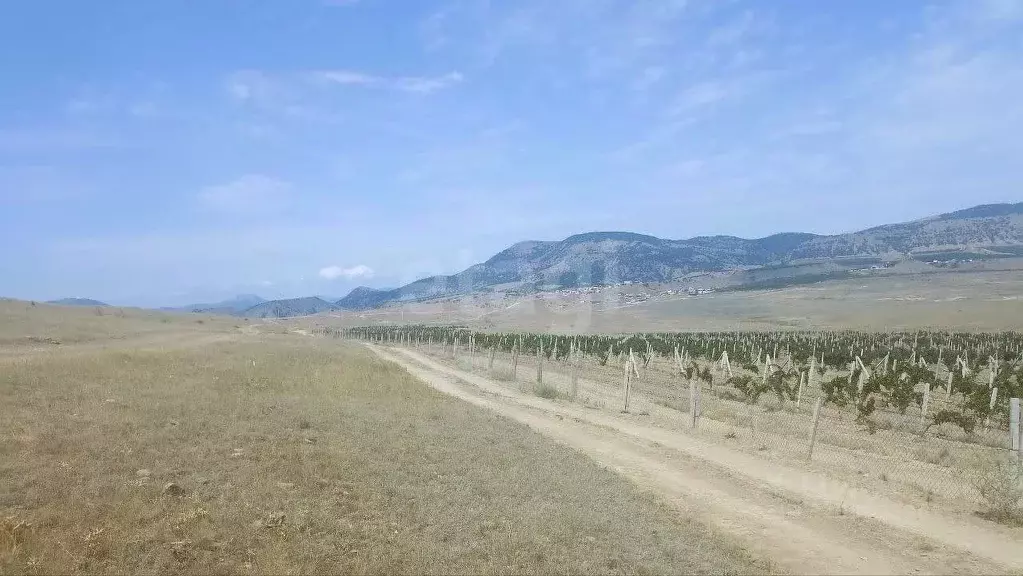 Участок в Крым, Судак муниципальный округ, с. Миндальное, Солнечная ... - Фото 1