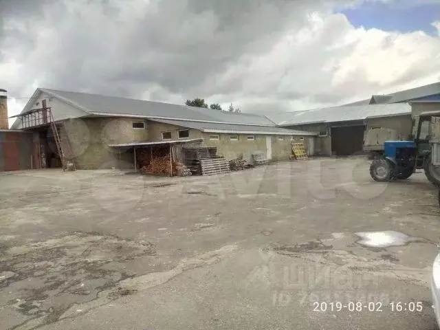 Помещение свободного назначения в Брянская область, Дятьково ... - Фото 2