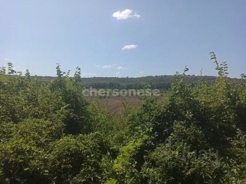 Участок в Севастополь ул. Речная (70.0 сот.) - Фото 0