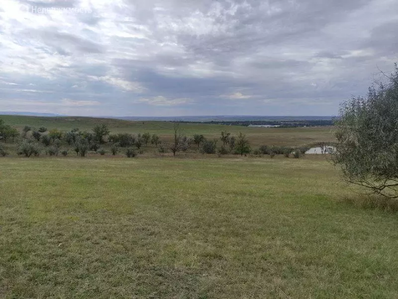 Участок в Рождественская, улица Ленина, 88 (1600 м) - Фото 1