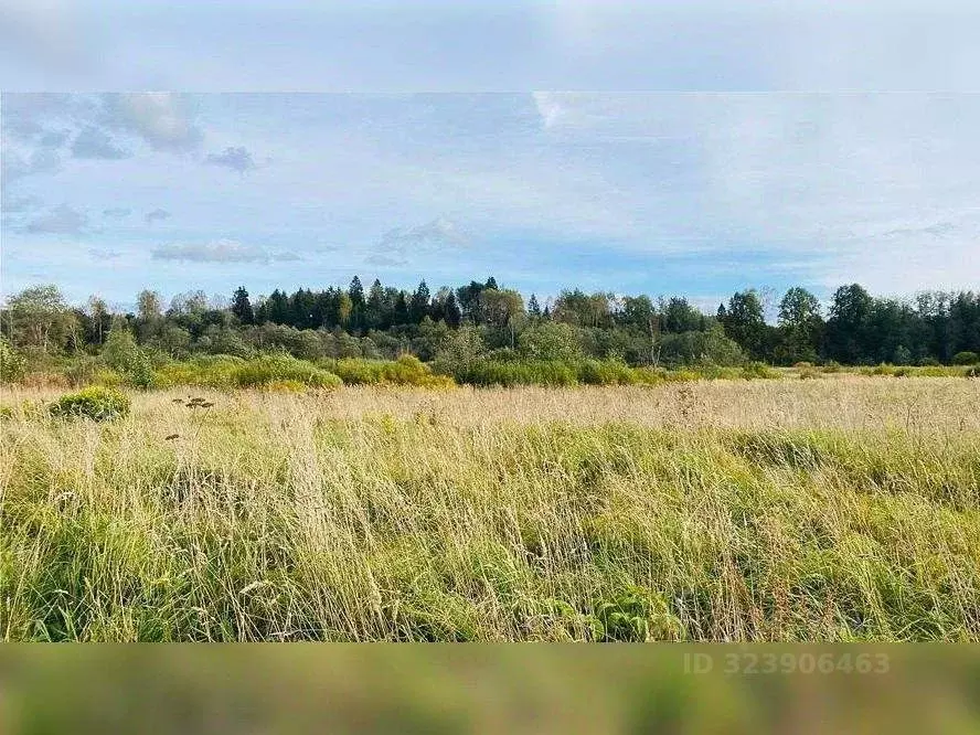 Участок в Московская область, Раменский муниципальный округ, с. ... - Фото 1