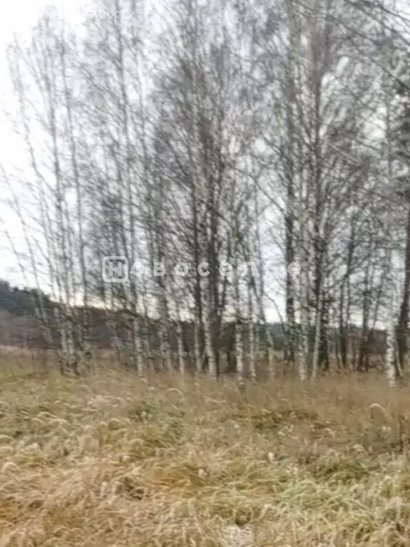 Участок в Рязанская область, Клепиковский муниципальный округ, ... - Фото 2