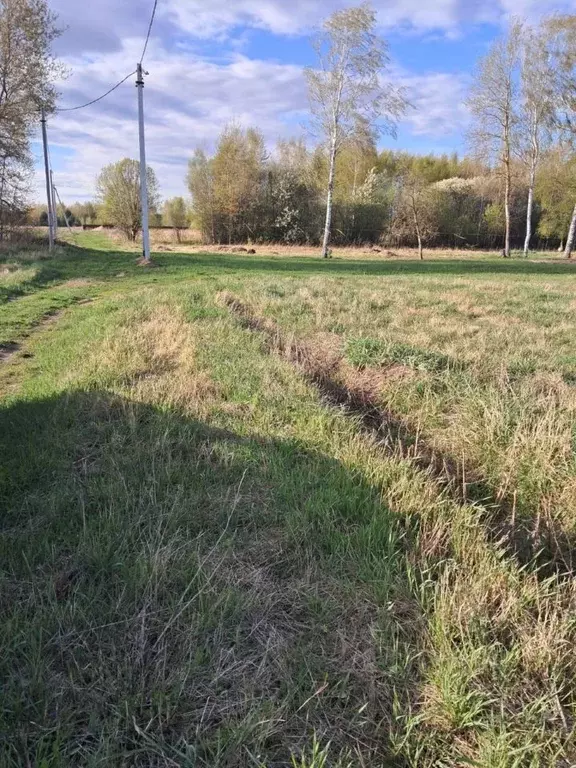 Участок в Московская область, Орехово-Зуевский городской округ, д. ... - Фото 1