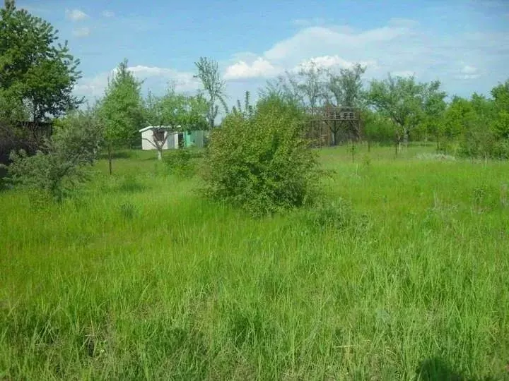 Участок в Воронежская область, Воронеж Строитель СНТ, ул. 14-я, 184 ... - Фото 2